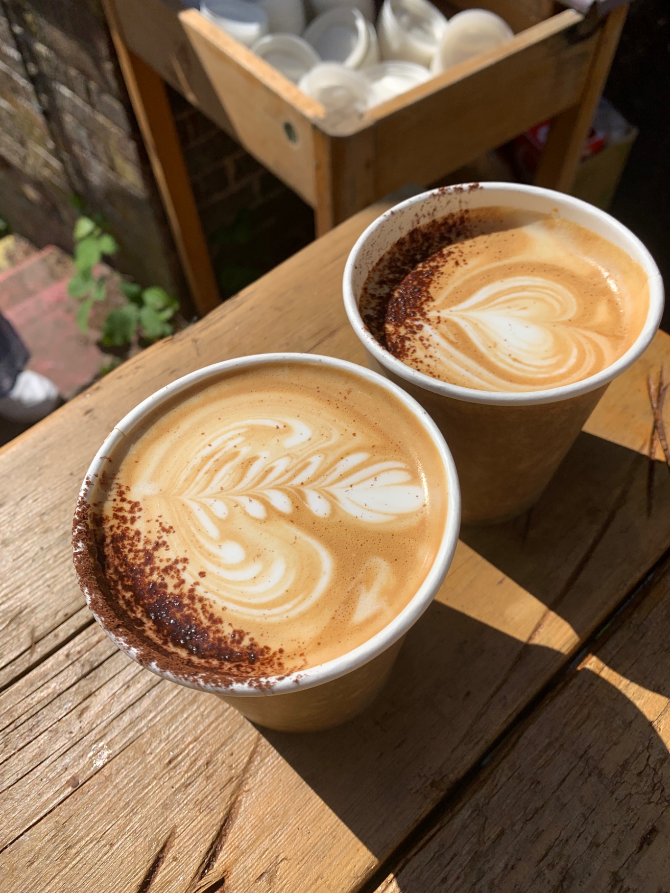 Two flat whites with rosetta latte art and dusted cocoa on a sunlit wooden bench